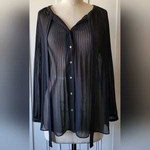 Sheer Long Sleeve Blouse
